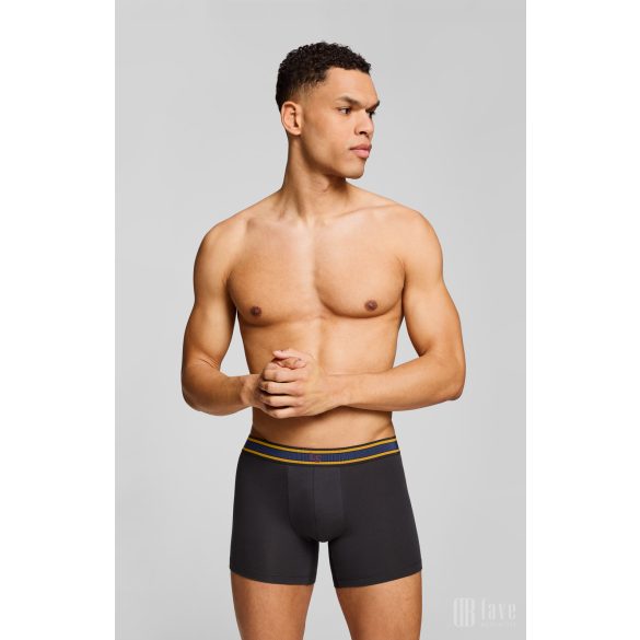 Levi's ● Injected Boxer ● boxeralsó (2db-os)